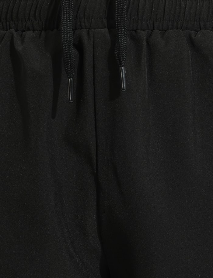 a2