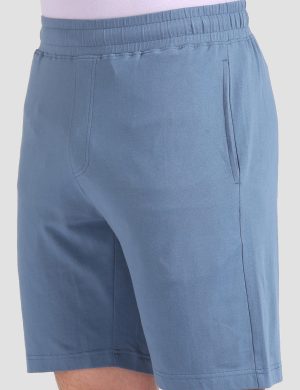 Men's Slate Blue Cotton Spandex Interlock Shorts – 240 GSM Soft Stretch Casual Athleisure Shorts | Rioleaf